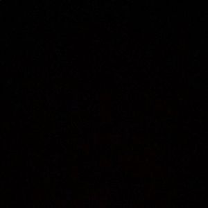 Meet your Posher, Sasha